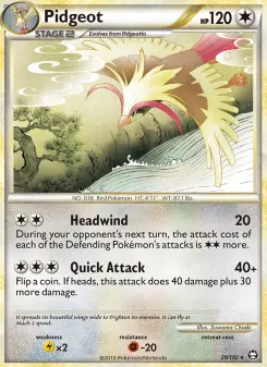 Pidgeot 29
