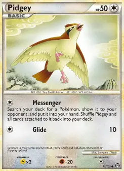 Pidgey 71