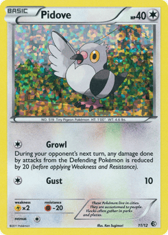 Pidove 11