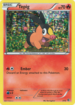 Tepig 3