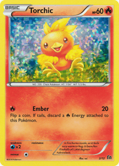 Torchic 2