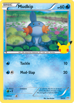 Mudkip 19/25