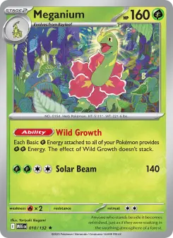 Meganium 10