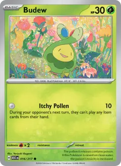 Budew 16