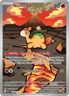 Numel 223/217