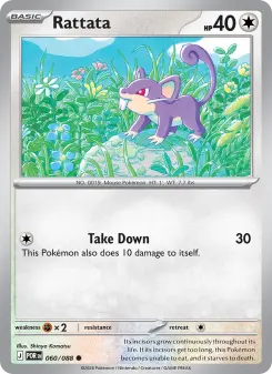 Rattata 60