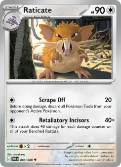 Raticate 061/088
