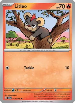 Litleo 14