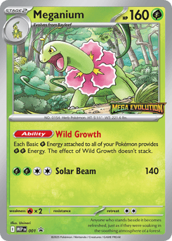 Meganium 1