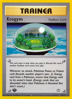 Ecogym 84