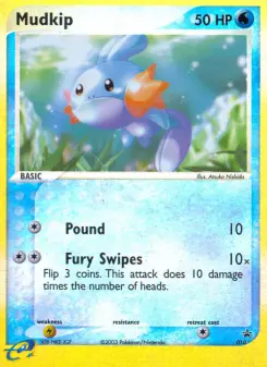 Mudkip 10