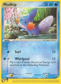 Mudkip 18