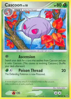 Cascoon 44