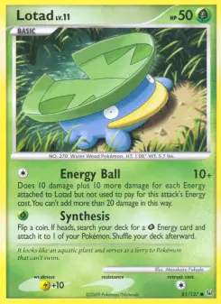 Lotad 81