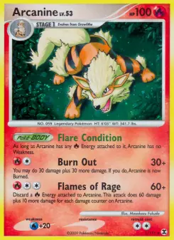 Arcanine 1