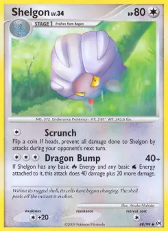 Shelgon 48