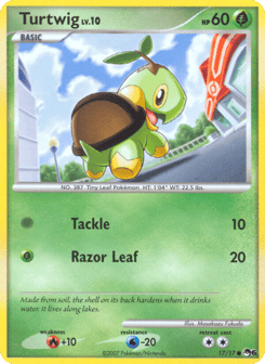 Turtwig 17