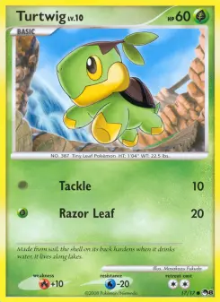Turtwig 17