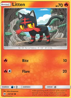 Litten 24