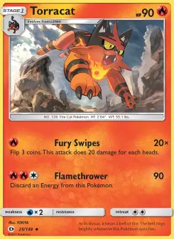 Torracat 25