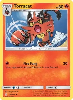 Torracat 28