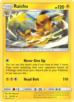 Raichu 55