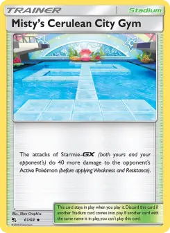 Misty's Cerulean City Gym 61
