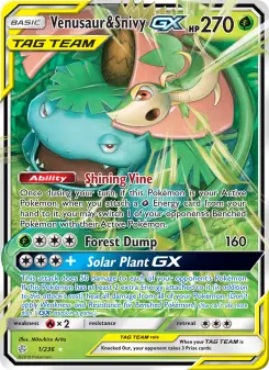 Venusaur & Snivy-GX 1