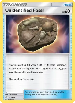 Unidentified Fossil 207