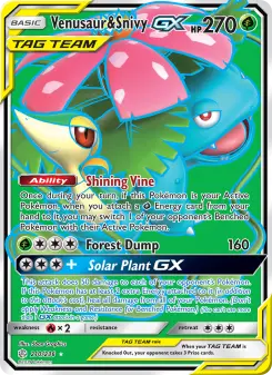 Venusaur & Snivy-GX 210