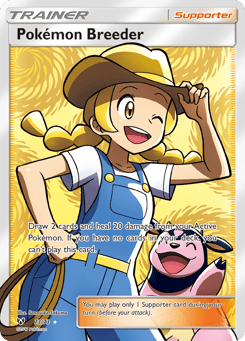 Pokémon Breeder 73