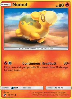 Numel 13