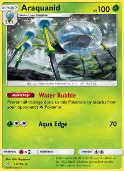 Araquanid 17
