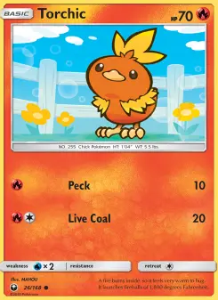 Torchic 26