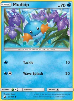 Mudkip 33
