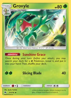 Grovyle 21