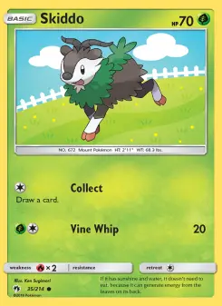 Skiddo 35