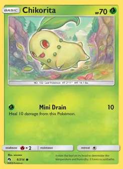 Chikorita 6