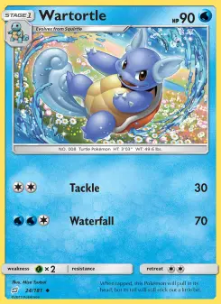 Wartortle 24