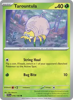 Tarountula 16