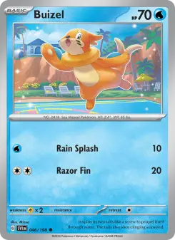 Buizel 46