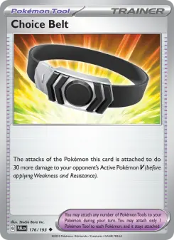 Choice Belt 176/193