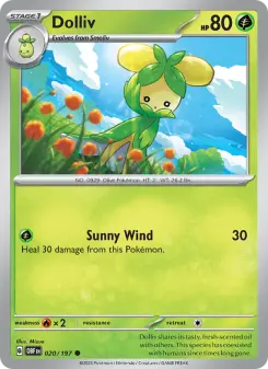 Dolliv 20