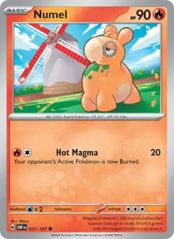 Numel 031/197