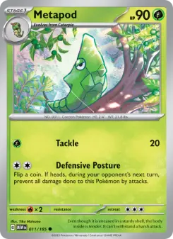Metapod 11
