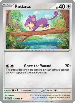 Rattata 19