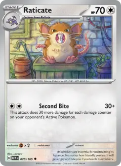 Raticate 20