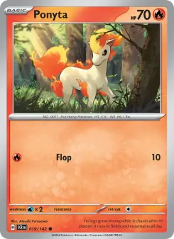 Ponyta 19