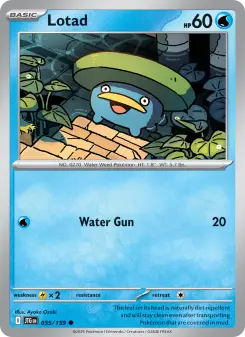 Lotad 35