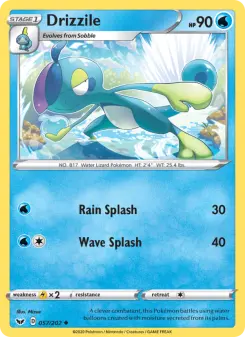 Drizzile 057/202